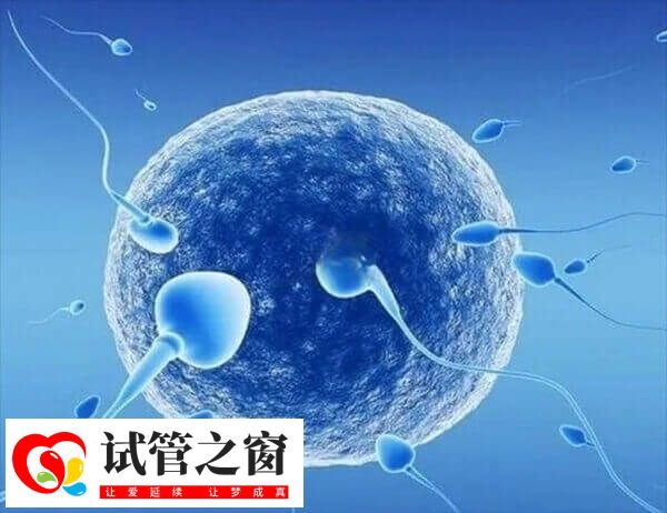 人工授精男女检查费用是多少(图1) 男性做人工授精有检查的必要