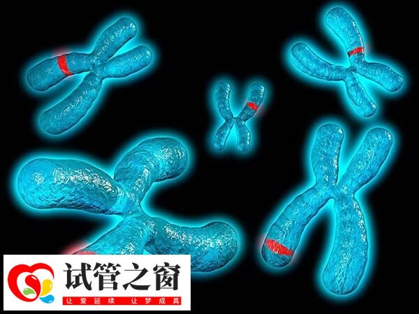 9号染色体三体严不严重(图2) 完全型T9指个体所有细胞9号染色体都增加一条