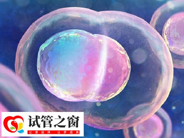 哪8种女人容易生龙凤胎(图2) 碱性体质容易生育龙凤胎