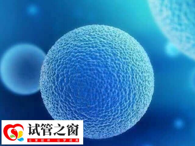 哪8大特征暗示试管失败了(图2) 试管婴儿失败体内雌激素水平不会显着升高
