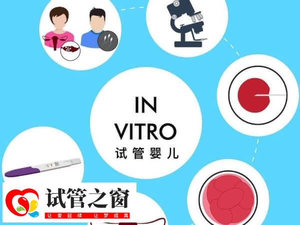去乌克兰做试管婴儿有什么好处