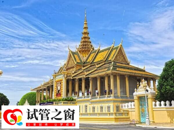 去柬埔寨做试管婴儿有哪些注意事项