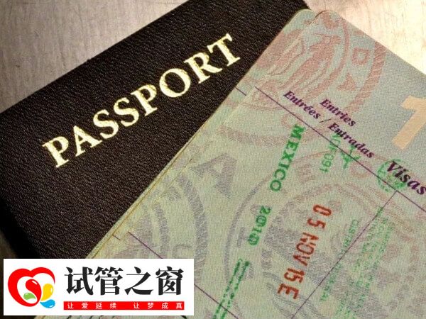 去柬埔寨做试管婴儿有哪些注意事项(图2) 柬埔寨签证