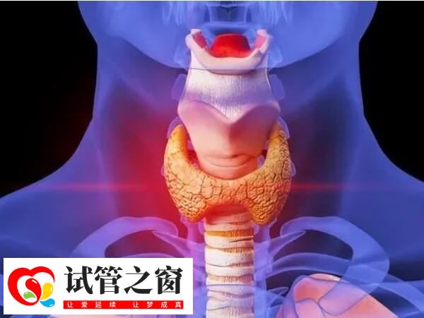 甲减试管促排期间要不要改药量(图1) 甲减是由于甲状腺激素分泌不足引起疾病
