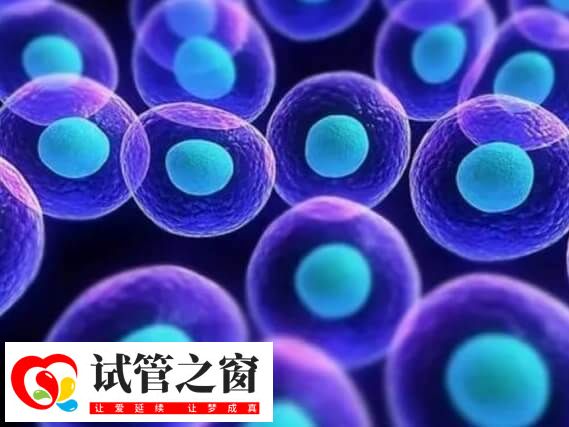 坚持移植了染色体异常囊胚会怎样(图1) 染色体数目或结构发生异常时称为染色体异常