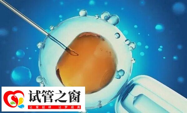 坚持移植了染色体异常囊胚会怎样(图2) 胎染色体异常会导致胎停或流产