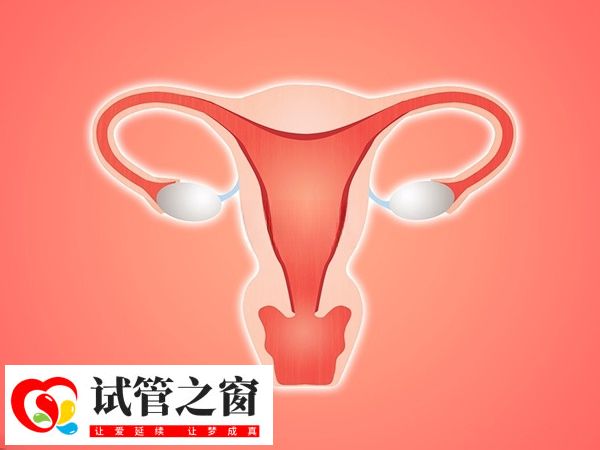 降调45天还能不能促排(图2) 内膜厚度若是小于5mm表示降调成功