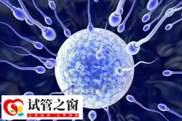 国内单身女性能买人类精子库的精子做试管婴儿吗?(图2) 国内用精子库精子做试管有条件