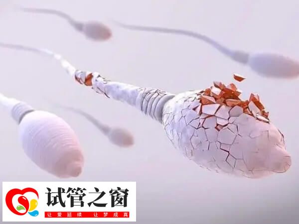 男性得红斑狼疮肾炎能不能做试管婴儿(图2) 红斑狼疮病情稳定可以做试管婴儿