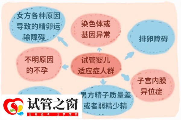 国内做第三代试管婴儿有哪些条件(图1) 试管婴儿适应症
