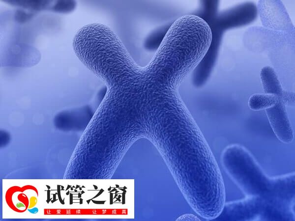 国内做第三代试管婴儿有哪些条件(图2) 三代试管可选择正常染色体的胚胎移植