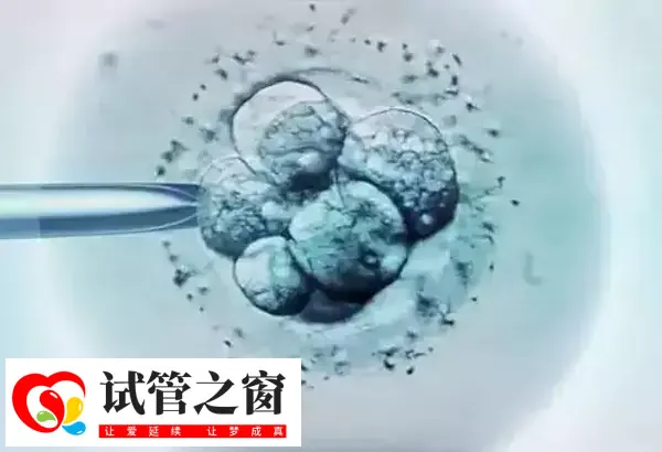 国内做第三代试管婴儿有哪些条件(图3) 三代试管可排除掉携带疾病的胚胎