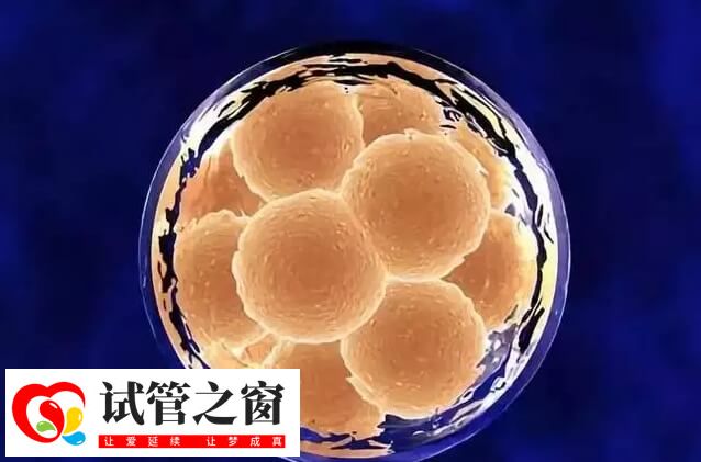 国内做第三代试管婴儿有哪些条件(图4) 三代试管适宜人群范围广