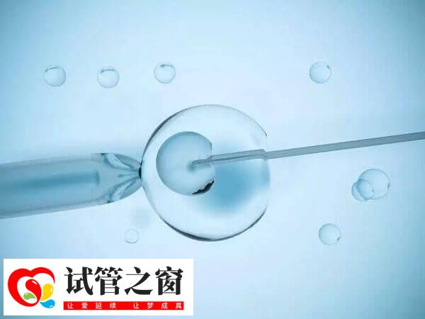 5aa囊胚移植后是不是一定生男孩(图2) 5aa囊胚并不能决定生男生女