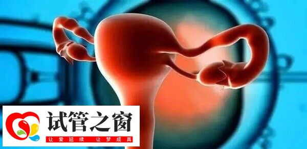 达菲林降调成功卵泡是多大(图3) 一般在达菲林停药1-3个月后才来月经