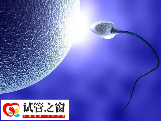 单身女想要个孩子怎么办(图1) 单身女性可去海外国家做试管生育孩子