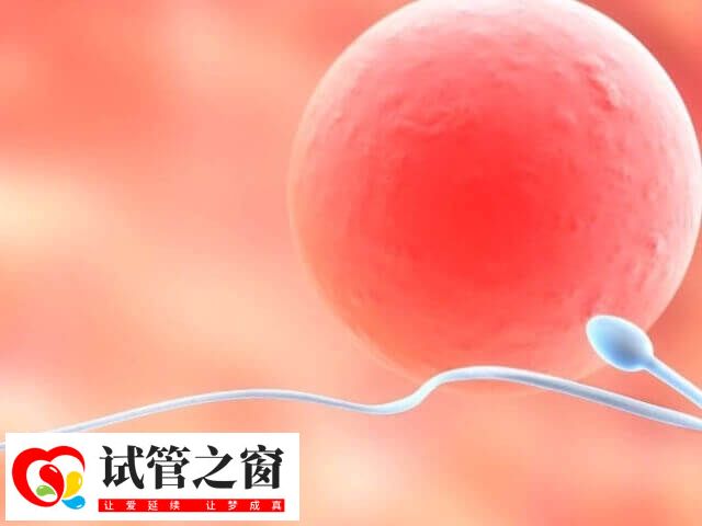 单身女想要个孩子怎么办(图2) 目前国内领养需符合民政部门规定的条件