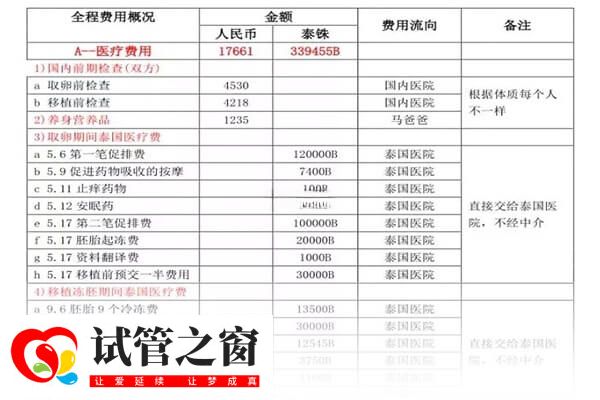 赴泰国做试管生一对龙凤胎大概需要多少钱?