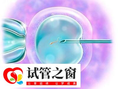 格鲁吉亚做试管的流程是怎么样的？与国内有区别吗？