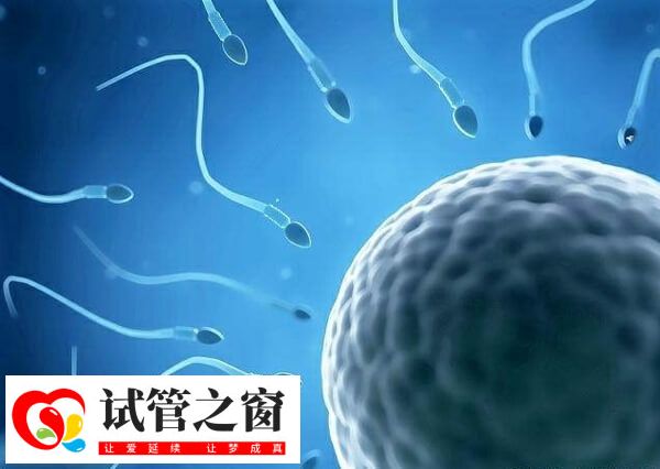 同性拉拉去美国做一个周期的试管婴儿费用是多少钱呢?(图2) 拉拉可以选择供精试管婴儿