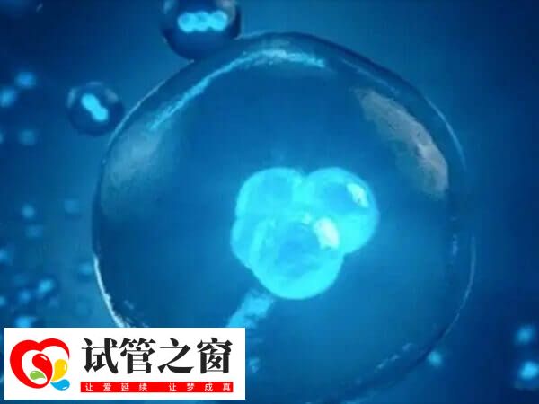 试管的孩子是不是普遍体质弱(图1) 试管婴儿与自然受孕婴儿只区别于受孕方式