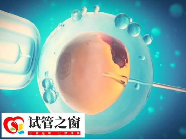 试管的孩子是不是普遍体质弱(图2) 试管婴儿体质弱的说法缺乏科学依据