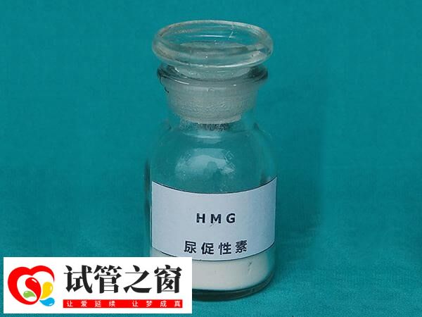 试管促排只打尿促是什么方案(图2) 夜针主要成分是尿促性素和绒促性素