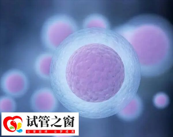 试管促排长方案卵泡是不是长得慢(图1) 长方案本身不会直接导致卵泡长得慢