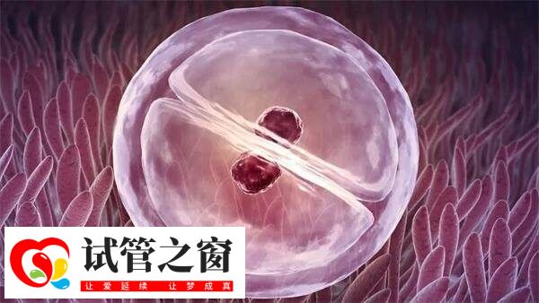 囊胚移植12天测白板还有希望吗?求验血成功的例子?(图1) 移植12天测白板成功希望不大