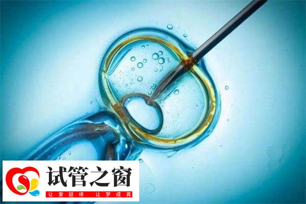35岁女性做试管婴儿用微刺激方案的成功率高吗?(图1) 微刺激方案的成功率因人而异