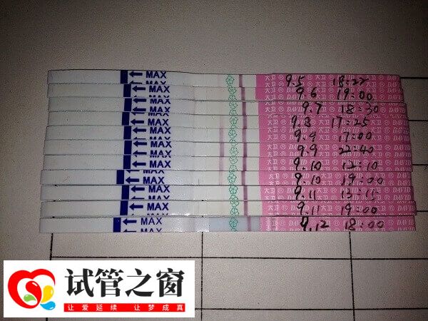 试管婴儿监测排卵的目的是什么(图1) 试管前监测排卵是根据科学时间表来检测的