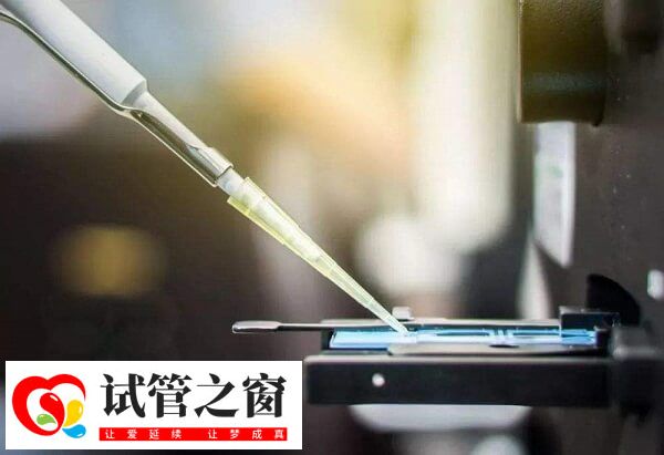 冻胚移植14天hcg300多正不正常(图2) HCG正常水平因人而异