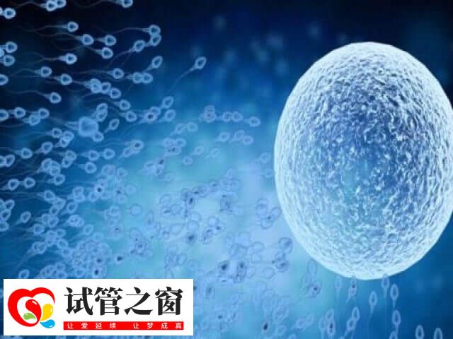 鲜胚移植是怎么移植的(图1) 鲜胚移植前要进行身体检查