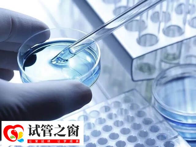 三代试管怎么区分正常和携带染色体(图1) 三代试管PGT-A可检测胚胎染色体的整倍体