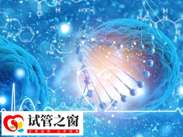 三代试管怎么区分正常和携带染色体(图2) PGT技术可降低下代出现遗传病的概率