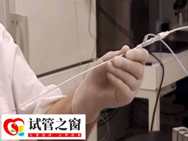 双腔取卵是不是比单腔质量差(图2) 取卵针是一种医疗器械