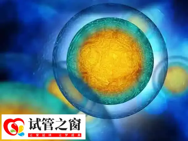 促排后只有7个卵泡正不正常(图1) 卵泡数量不是决定试管成功率的唯一性