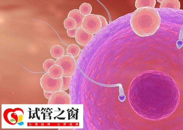 注射贺美奇有哪些副作用(图4) 贺美奇有促排的作用