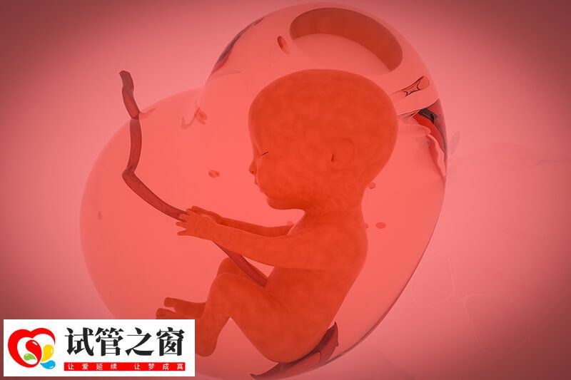 试管婴儿取精过程是怎样的(图1) 大部分男性做试管婴儿都是手淫法取精