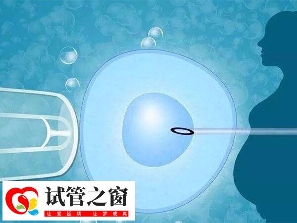 年龄大五个卵泡做几代试管(图2) 第三代试管比第一代试管更容易成功