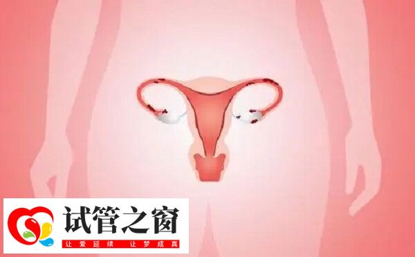 38岁fsh27能不能做试管婴儿(图2) 卵巢功能下降或衰竭后很难恢复