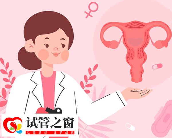 始基子宫能不能做试管(图1) 始基子宫不能做试管
