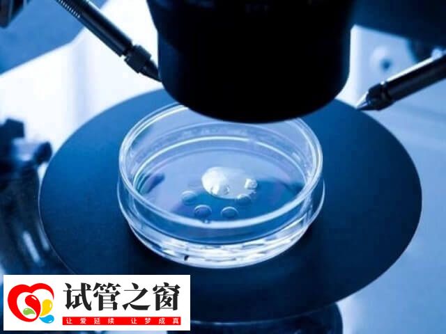 染色体会引起胚胎发育缺陷