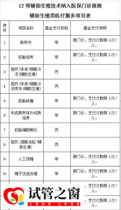 赤峰妇产医院试管费用报销项目表