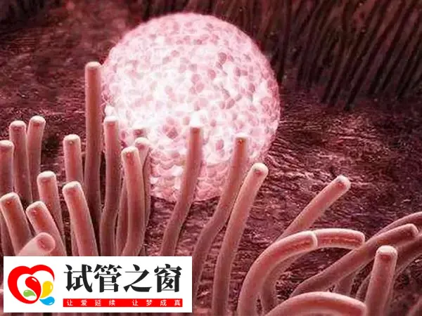 赤峰妇产医院试管婴儿技术怎么样(图1) 赤峰妇产医院试管设备很先进