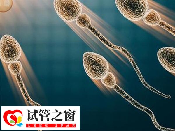 阜新妇产医院试管成功率多少(图1) 阜新妇产医院试管成功率达60%