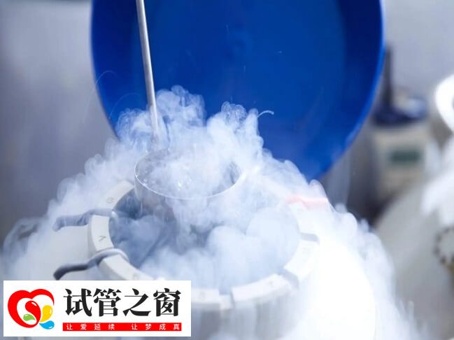 4BB冻囊胚质量好