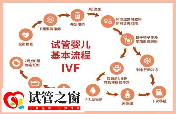 做三代试管婴儿一个周期要多少天?流程是怎么样的?(图1) 三代试管婴儿基本流程步骤