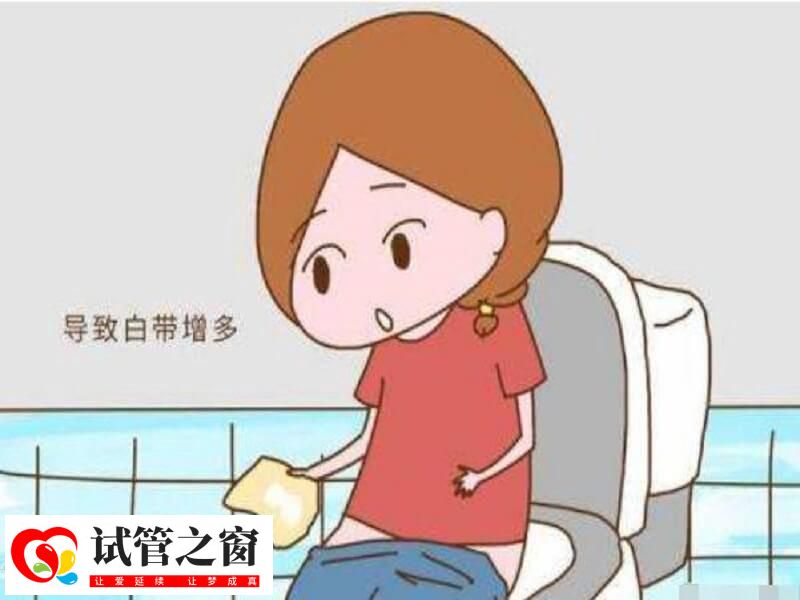 成功怀孕后白带会不会增多