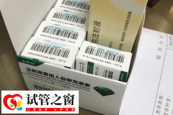 合理饮食有助于卵泡发育